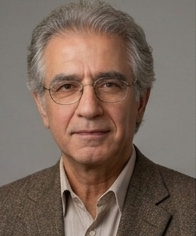 Wael Amin